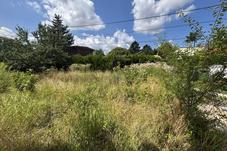 1210! Sonniges Grundstück auf EIGENGRUND in schöner Kleingartenanlage!, Grund und Boden-kauf, 239.000,€, 1210 Wien 21., Floridsdorf