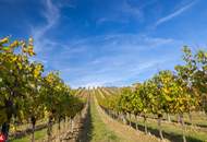 Ehemaliger Vierkanthof in Enzersdorf an der Fischa