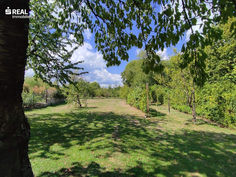 Außergewöhnliches Naturparadies in Bad Vöslau