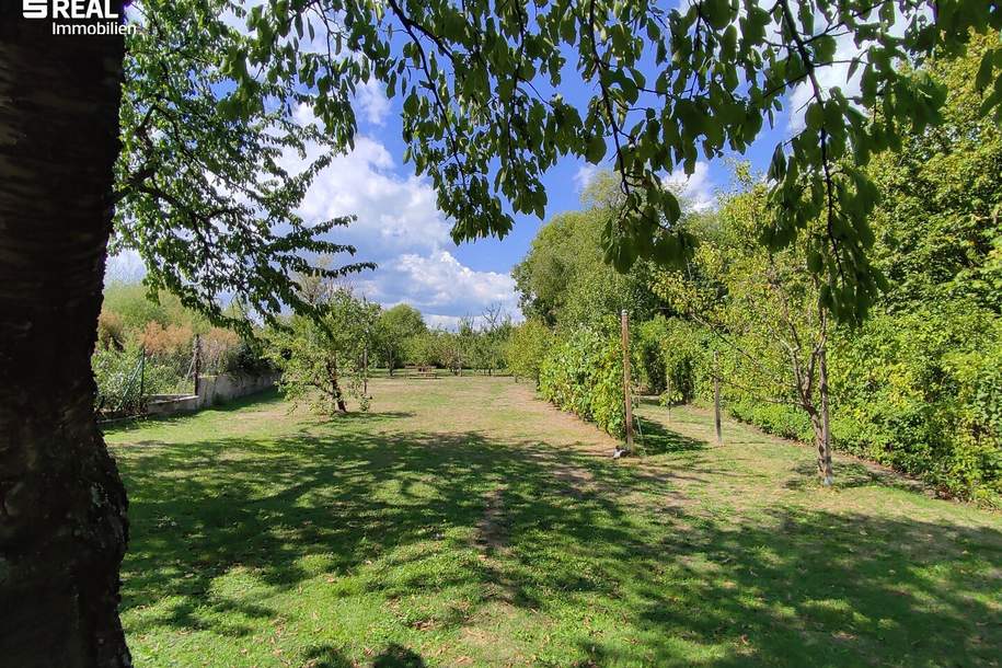 Außergewöhnliches Naturparadies in Bad Vöslau, Grund und Boden-kauf, 620.000,€, 2540 Baden