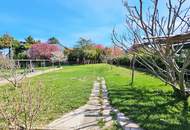 175m², 6 Zimmer Einfamilienhaus mit ca, 700m² Garten in Donaustadt/ Breitenlee