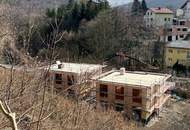SAGENHAFT - Nachhaltige Massivholz-Einfamilienhäuser
