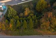 Vom Traum zum Zuhause – 821 m² Lebensfreude in Steinhaus - Grundstück mit vielen Möglichkeiten