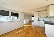 Penthouse mit Donaublick und 360 Grad Dachterrasse - direkt an der Alten Dona