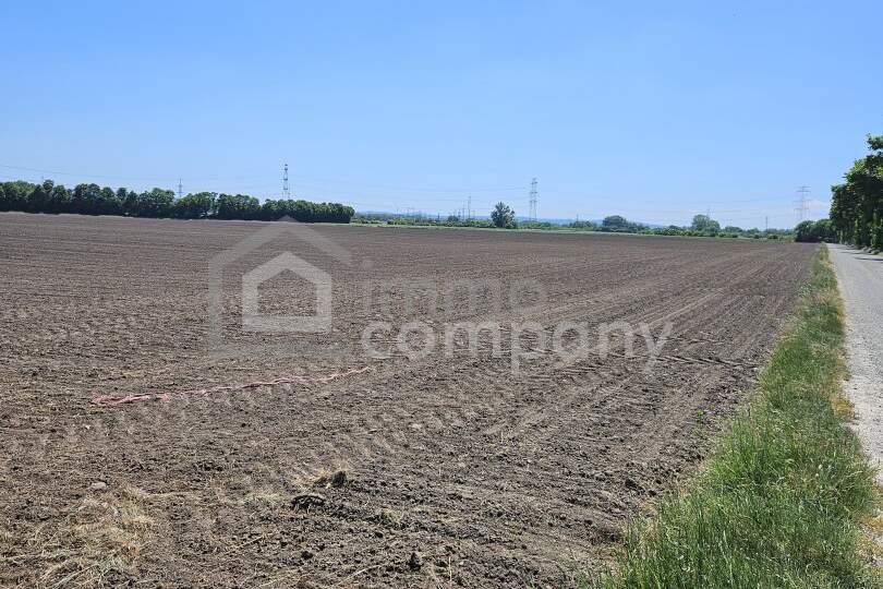 Landwirtschaftliche Fläche in strategisch interessanter Lage der Airport Region – 5,18 ha, Grund und Boden-kauf, 1.555.350,€, 2433 Bruck an der Leitha