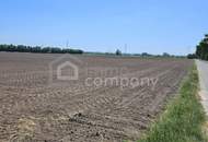 Landwirtschaftliche Fläche in strategisch interessanter Lage der Airport Region – 5,18 ha