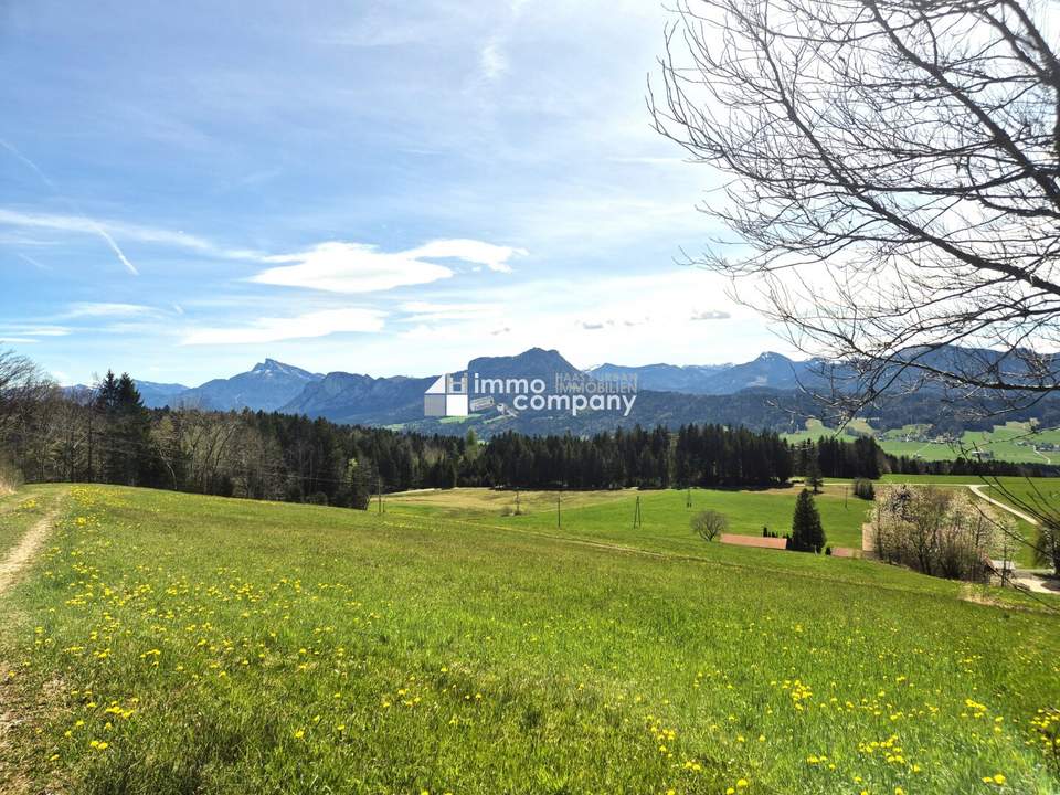Exklusives Baugrundstück: 954m² Baugrund mit atemberaubendem Bergblick in Thalgau!