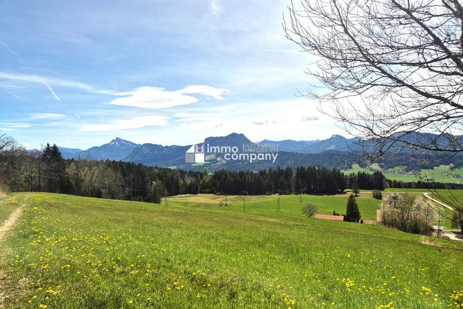 Exklusives Baugrundstück: 954m² Baugrund mit atemberaubendem Bergblick in Thalgau!, Grund und Boden-kauf, 578.000,€, 5303 Salzburg-Umgebung