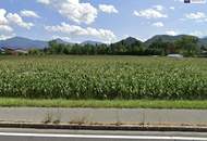 Enormes Potenzial - Bauträger-Grundstück in Wasserhofen, Gemeinde St. Kanzian (Kärnten)