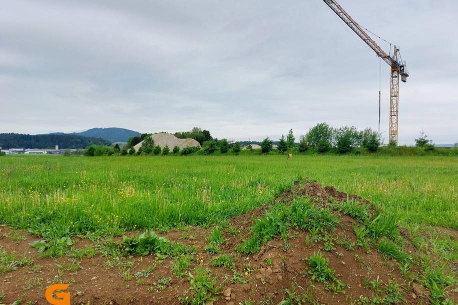 Neumarkt: Baurecht Gewerbegrund, Grund und Boden-miete, 5202 Salzburg-Umgebung