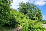 BAUGRUND IM BAULAND-KERNGEBIET NAHE WIEN