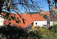 Einfamilien-/Ferienhaus verbindet historischen Charme mit modernem Wohnkomfort mit Burgblick!