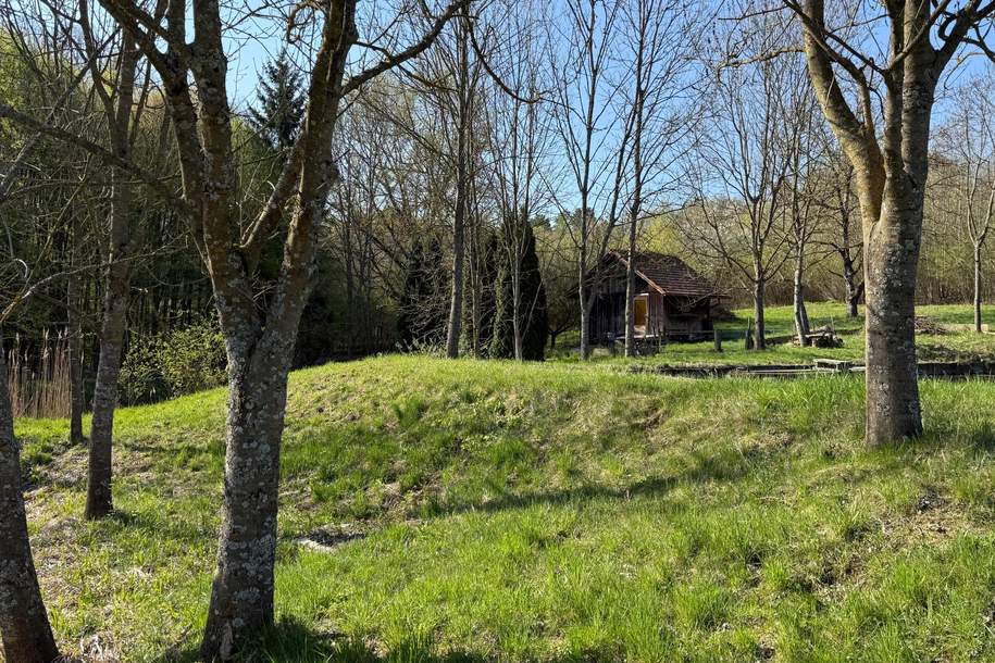 Naturidyll im SÜDBURGENLAND – Teichanlage mit großem Potenzial, Gewerbeobjekt-kauf, 88.000,€, 7540 Güssing