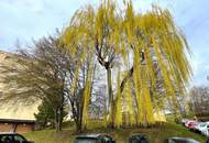 RAGNITZ: Helle 2-Zimmer-Wohnung mit Fernblick