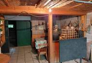 Seewinkel- Illmitz: ein Haus wie ein Guter Wein- Ortsruhelage