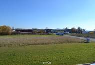 Zwei Gewerbegrundstücke mit zusammen über 7.000 m² – Bauland Betriebsgebiet (BB) in Zwettl Stadt