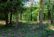 NEU! Exklusives Baugrundstück in Bestlage – sonnig, ruhig & naturnah in Mils bei Hall