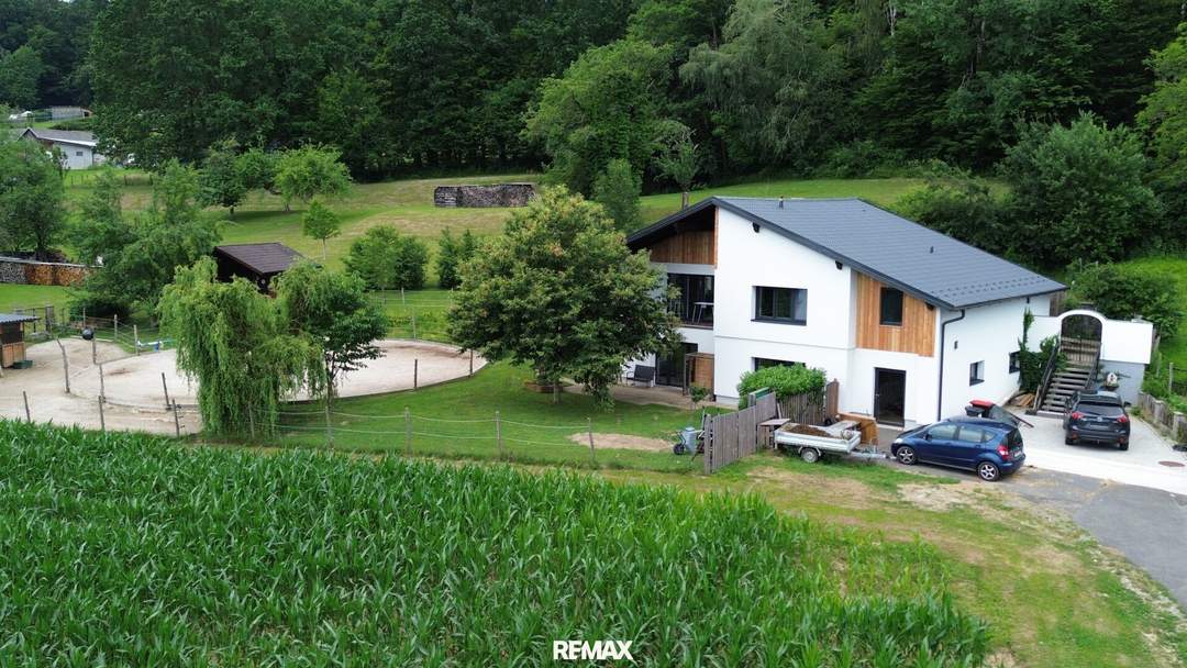 **Traumhaftes Einfamilienhaus mit Pferdestall, Koppel und großem Grundstück in Bocksdorf**