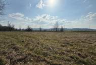 Großzügiges Grundstück ohne Bauzwang – Ideal für Gewerbe &amp; Investoren