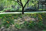 2-ZIMMER-NEUBAUWOHNUNG MIT PARKBLICK!