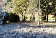 Grundstück in Gaupmannsgraben/ Ramsau (Land- Forstwirtschaft)