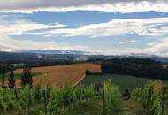 IN SLOWENIEN! Winzerhaus mit Weingarten und Blick bis zum Horizont!