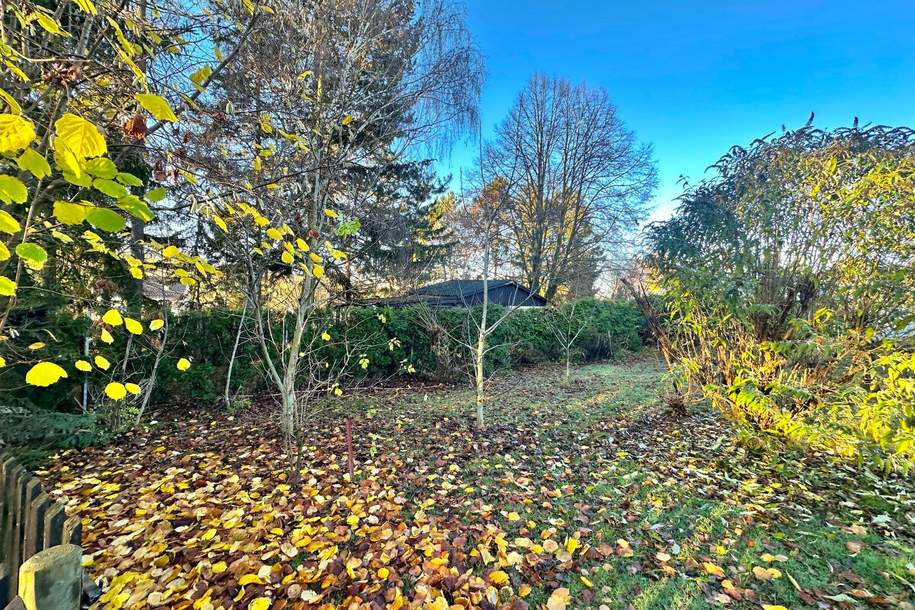 Grundstück mit Charme und Potenzial!, Grund und Boden-kauf, 110.000,€, 2130 Mistelbach