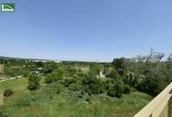 Name ist Programm – Schnappen Sie sich Ihren Wohntraum im Projekt „Hirschfeld – Naturnah wohnen“