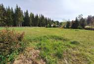 Schöner, ruhiger und großer Baugrund in Preitenegg - 1.100 m ü. A.