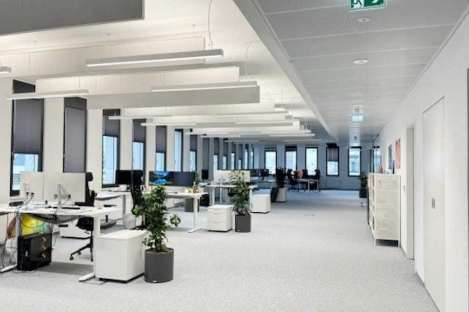 Moderne Bürofläche am Austria Campus zu mieten, Gewerbeobjekt-miete, 19,30,€, 1020 Wien 2., Leopoldstadt