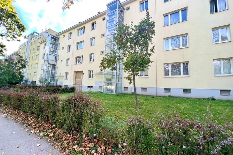 ++ HELLE DREI Zimmer in GRÜNRUHELAGE ++, Wohnung-miete, 1.120,00,€, 1170 Wien 17., Hernals