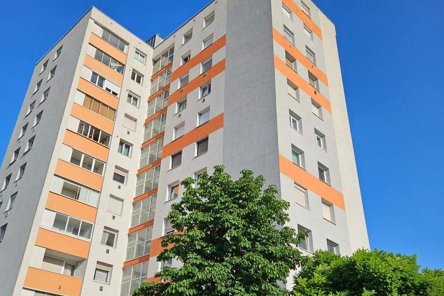 4-Zimmer-Eigentumswohnung mit Loggia in begehrter Lage von Linz, Wohnung-kauf, 180.000,€, 4020 Linz(Stadt)