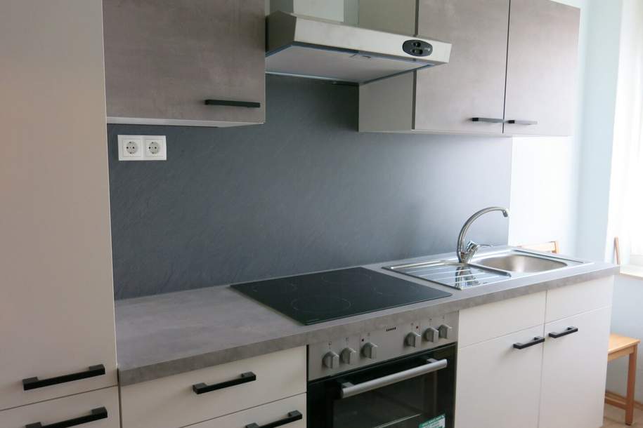 Wohnungspaket: Zwei befristet vermietete Anlegerwohnungen mit attraktiver Rendite in Graz-Lend, Wohnung-kauf, 230.000,€, 8020 Graz(Stadt)