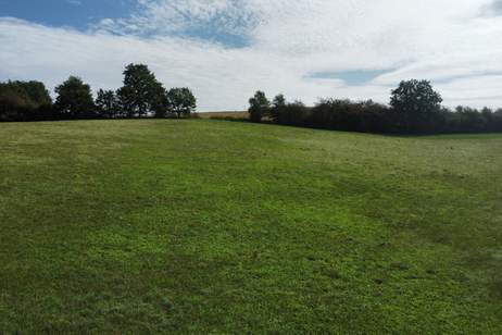 ca. 1,4 Hektar Wiese in St. Leonhard am Forst, Grund und Boden-kauf, 66.452,€, 3243 Melk