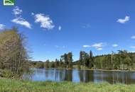 Aus alt mach neu - Historisches Einfamilienhaus in Alleinlage am Hügel in Bad Großpertholz mit großem Garten - JETZT ANFRAGEN