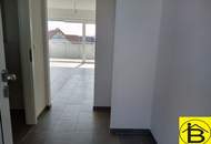 15463 Neubau in der Nähe des Bahnhofs von Loosdorf