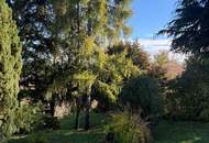 Apartma in Pinkafeld Reconstructed TEST (Provisionsfrei)