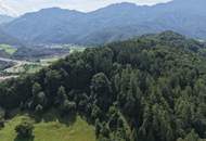 "Hof zur Steinwänd" Gasthof und Bauernhof mit Fremdenzimmern - Wald und Wiesen!