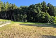 Baugrundstück in Waldrandlage - Fernblick, Naturidyll und Abendsonne inklusive - Aschach a. d. Steyr/Am Hang