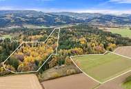 Einzigartige Landwirtschaft mit zwei Wohnhäusern, Wirtschaftsgebäuden, Wald- und Ackerflächen im Lavanttal