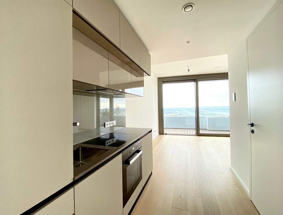 HOCHWERTIGES SINGLEAPARTMENT MIT TRAUMHAFTER FERNSICHT UND GROSSEM BALKON