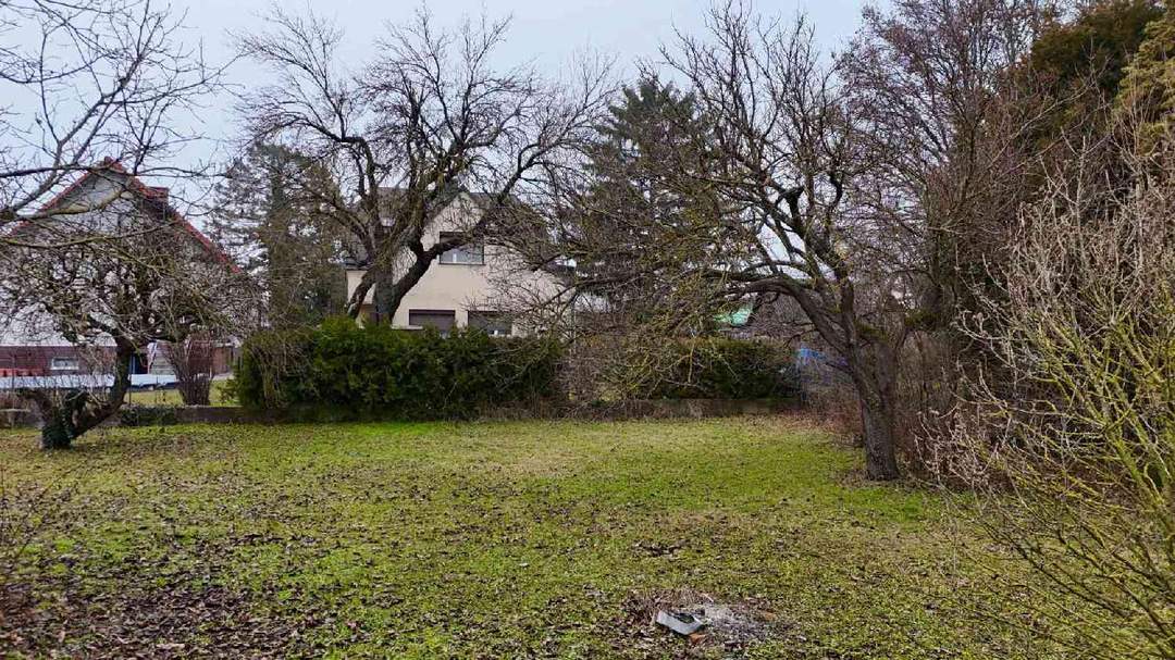 Ein Grundstück, auf dem Träume wachsen