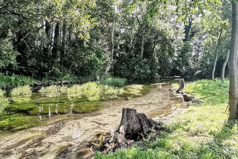 EXKLUSIVE RUHELAGE DIREKT AM WASSER, Grund und Boden-kauf, 790.000,€, 2490 Wiener Neustadt(Land)