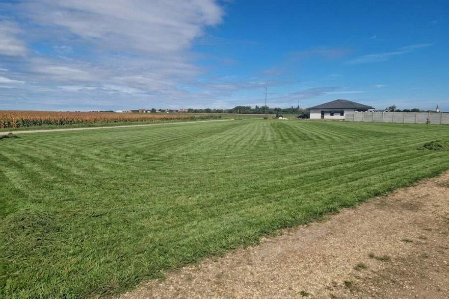 Grundstück am Ortsrand von Nickelsdorf - in ruhiger Lage, mit Weitblick, Grund und Boden-kauf, 119.000,€, 2425 Neusiedl am See