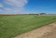 Grundstück am Ortsrand von Nickelsdorf - in ruhiger Lage, mit Weitblick