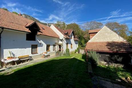 Bauernhof an der Hohen Wand!, Haus-kauf, 390.000,€, 2724 Wiener Neustadt(Land)