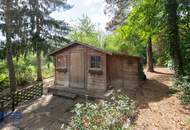 Kleines Haus, großer Grund – 981 m² Ruhelage in Plank am Kamp