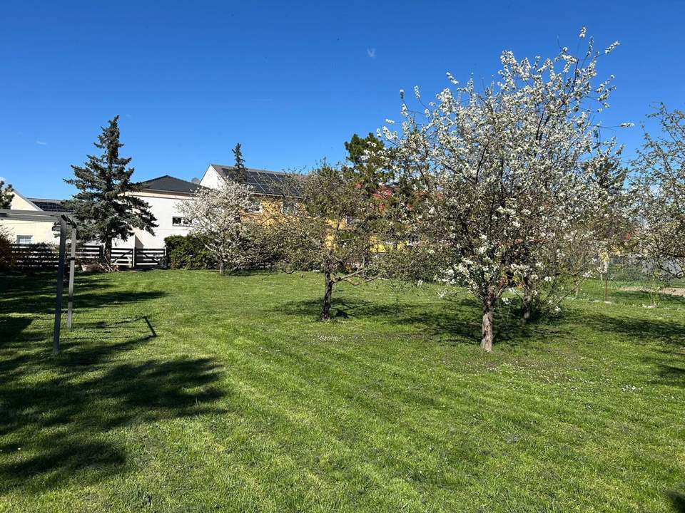 Grundstück in Achau – Ihr Eigenheim auf 1190m²