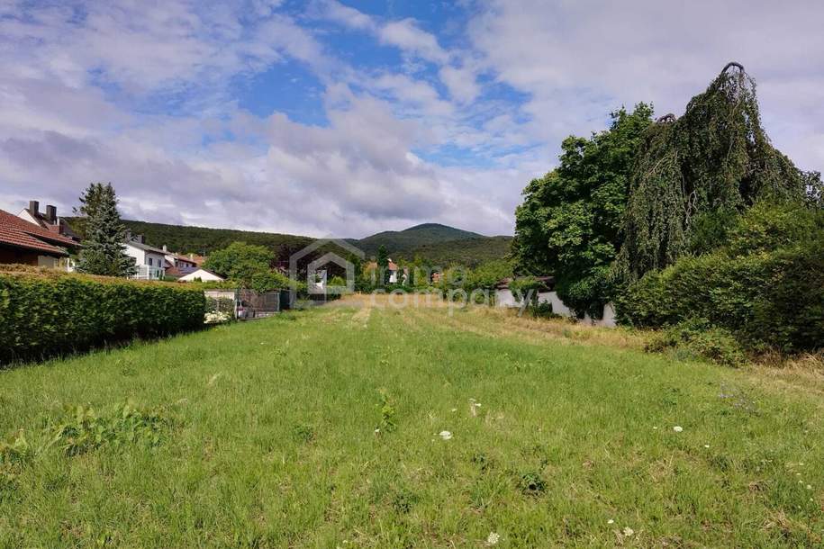 Besonderes Baugrundstück in Grünruhelage mit Fernblick in den Weinbergen, Grund und Boden-kauf, 697.000,€, 2504 Baden