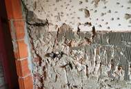 Super Angebot für Handwerker!